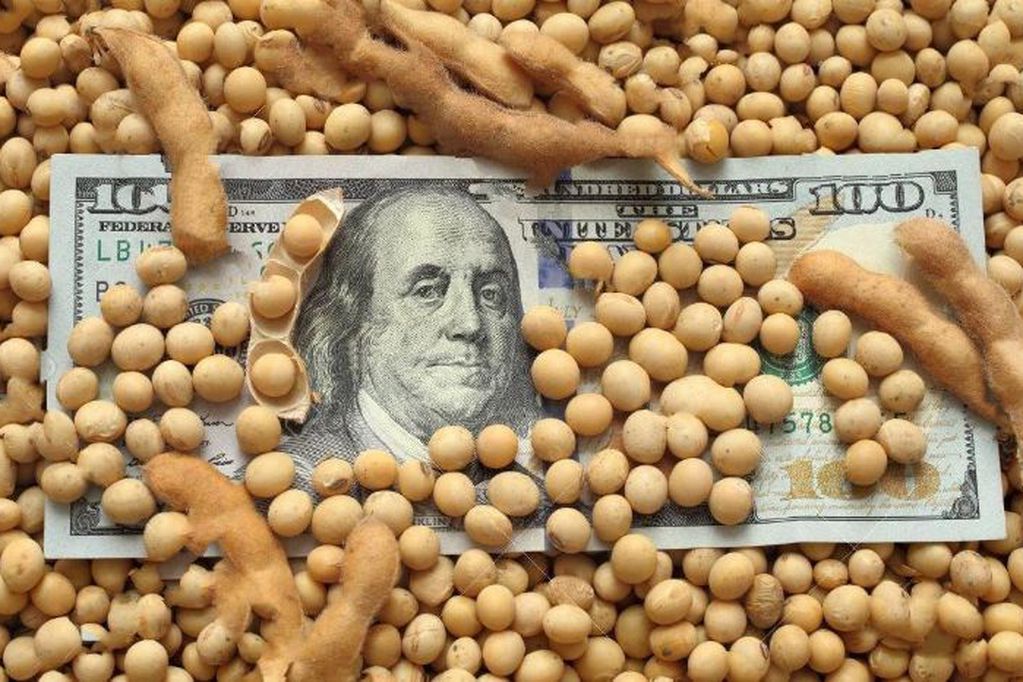 Dólar soja: el gobierno se arrodilla ante los agroexportadores