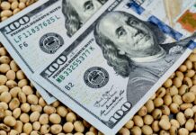 «Dólar soja 3»: la concesión de Massa a los patrones del agro que retienen 7 millones de toneladas de grano