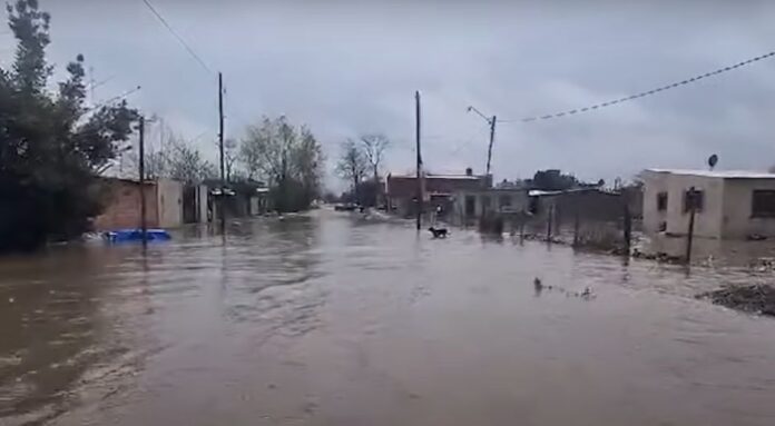 Temporal La Plata Temporal La Plata