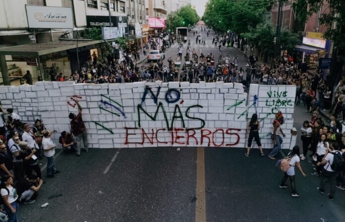 Ley Ómnibus salud mental Ley Ómnibus salud mental