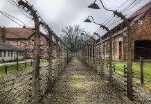La condición humana después de Auschwitz Auschwitz