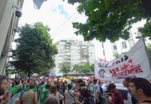 Gran elección de la Lista Gris en el CDNNyA Estatales Niñez