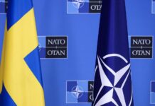 Suecia ingresa a la OTAN y crece la tensión con Rusia Suecia OTAN