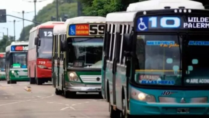 boleto de colectivo Milei boleto de colectivo Milei