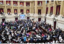 Continúa la sesión: dudas para la votación en particular y nuevos cambios en la ley Ómnibus sesión votación ley Ómnibus