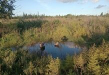 Las inundaciones y el rol de los espacios verdes inundaciones espacios verdes