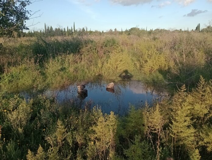 inundaciones espacios verdes