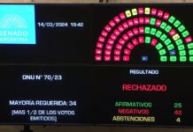 Manuela Castañeira: «¡Se cayó el DNU en el Senado! ¡Es un triunfazo indirecto de la movilización» Rechazo DNU Senadores