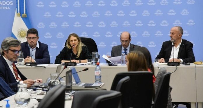 Comisión de Previsión y Seguridad Social de la Cámara de Diputados presidido por la radical Gabriela Brouwer de Koning Movilidad jubilatoria