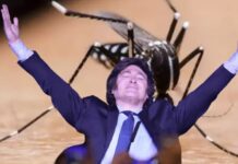 Milei deja pasar la peor epidemia de dengue de la historia Dengue