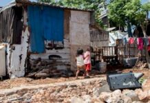 Dengue y miseria: los pobres son los más afectados por la epidemia Dengue pobreza