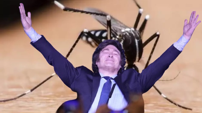 Milei deja pasar la peor epidemia de dengue de la historia Dengue