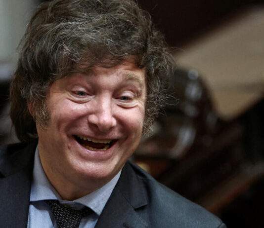 Seis meses de gobierno mileísta Gobierno Milei