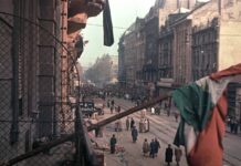 Una revolución desfigurada Revolución húngara 1956