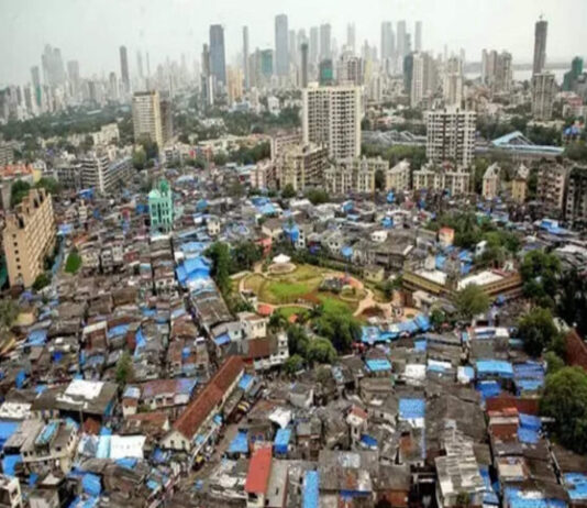 2- El desarrollo desigual y sus contradicciones Desarrollo India