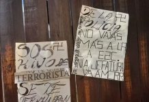 Gravísimo: asesinada la madre de un militante de HIJOS y viuda de desaparecido asesinada desaparecido