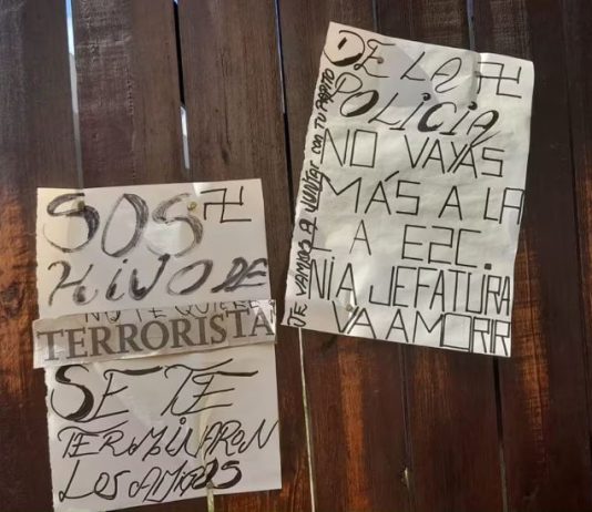 Gravísimo: asesinada la madre de un militante de HIJOS y viuda de desaparecido asesinada desaparecido