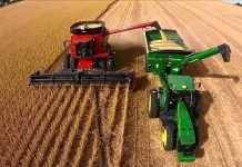 Los patrones del agro esconden los dólares luego del discurso de Milei campo Milei