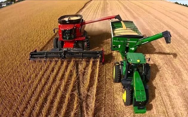 Liquidación campo campo Milei