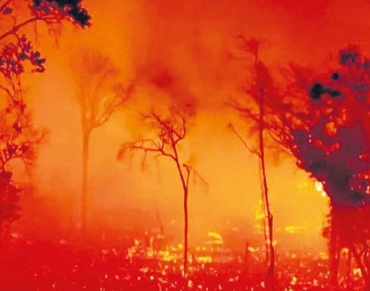 Brasil: la lucha contra los incendios forestales y los retos de construir un nuevo movimiento ecologista Brasil incendios forestales