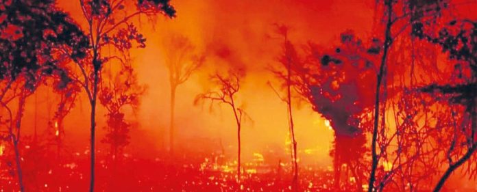 Brasil incendios forestales Brasil incendios forestales
