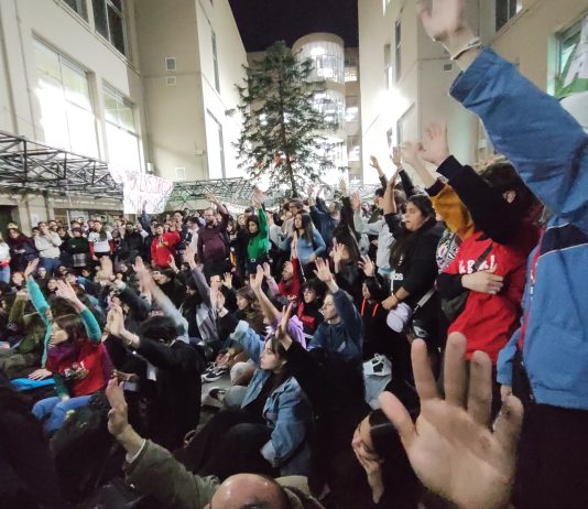 Pongamos en pie un estudiantazo nacional con tomas de las facultades para tirar abajo el veto veto Milei
