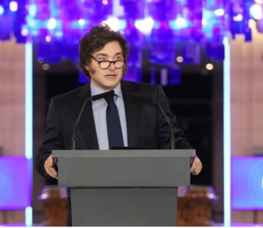 Oscurantista: las fake news de Milei contra la Universidad Pública Milei Universidad