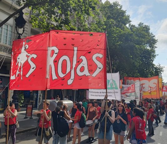 El movimiento feminista salió a las calles contra Milei lucha contra la violencia
