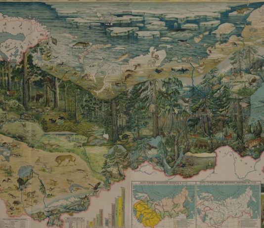 La política (anti)ecológica en la URSS ecología Unión Soviética