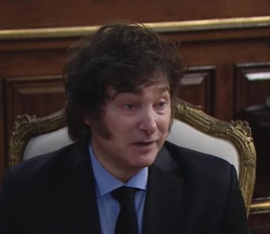 Manuela Castañeira: «El caradura de Milei parece enajenado de la realidad» Milei salarios reales