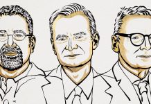 Los premios Nobel de Economía 2024: una crítica marxista Nobel de economía