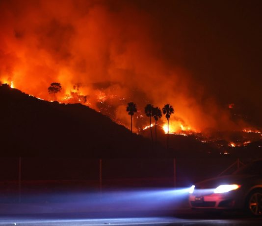 En favor de dejar que arda Malibú Malibú