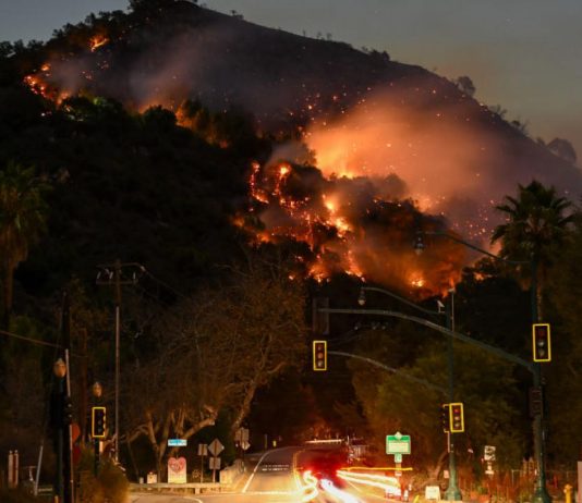 Incendios en Los Angeles: devastación y evacuaciones masivas incendios en Los Ángeles