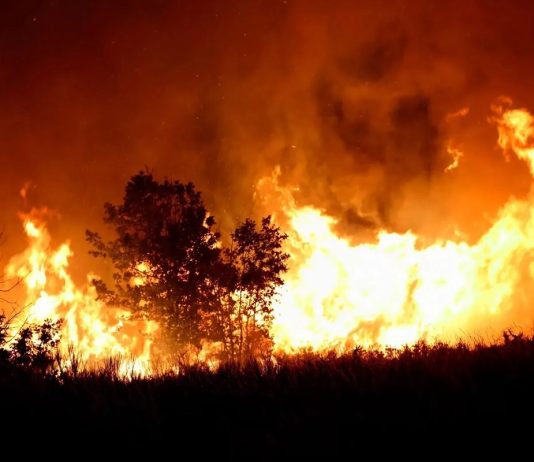 Manuela Castañeira sobre los incendios en la Patagonia: «el gobierno solo busca lavarse las manos» Incendios Patagonia