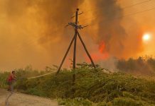 Incendios en la Patagonia: focos de fuego, complicidad del Estado y cadenas de solidaridad