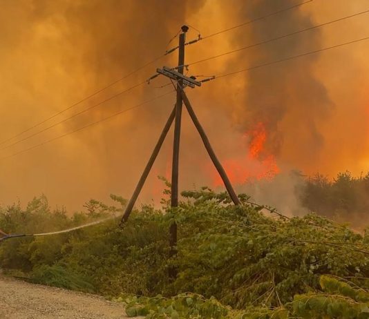 Incendios en la Patagonia: focos de fuego, complicidad del Estado y cadenas de solidaridad