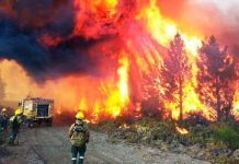 La Patagonia en llamas Patagonia en llamas