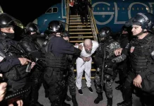 Vergonzoso: los gobiernos de El Salvador, Costa Rica y Panamá colaboran con las deportaciones masivas de Trump deportaciones trump