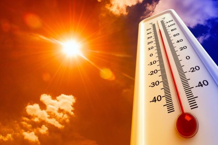 Calor-768x510 Ola de calor Estados Unidos