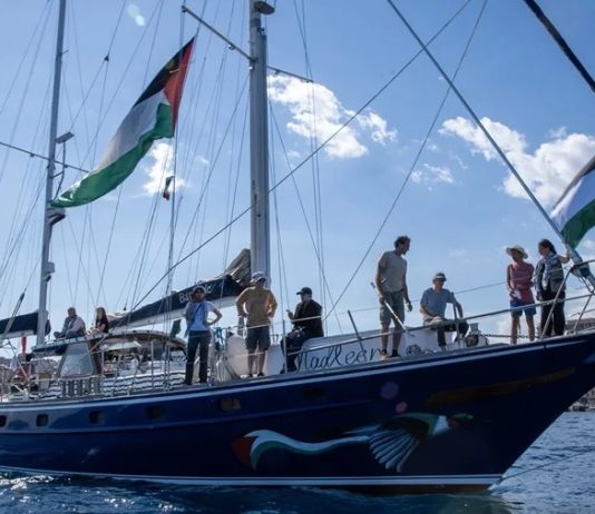 El secuestro de Greta Thunberg y sus compañeros de la Flotilla de la Libertad pone en evidencia la impunidad del Estado sionista Greta Gaza