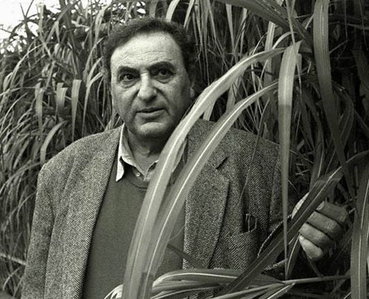 Veinte años sin Saer Saer