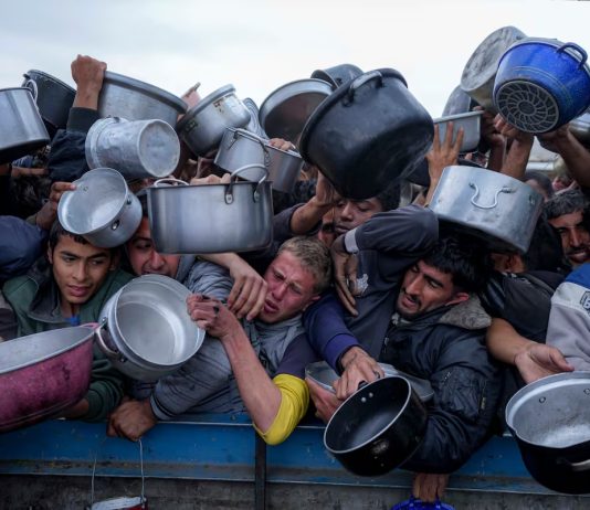 Los juegos del hambre, “remake” sionista Gaza Sionismo