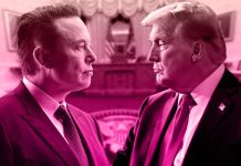 Los trasfondos de la pelea Trump-Musk Trump Musk