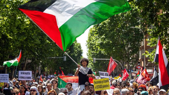 Crisis por la hambruna en Gaza crisis hambruna en Gaza