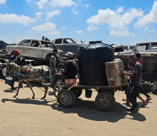 Un genocidio sin fin (X): 70 palestinos fueron asesinados cuando buscaban comida este domingo Genocidio Gaza