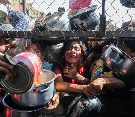 Anatomía de un genocidio Gaza Genocidio Anatomía