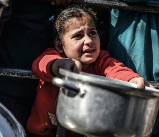 Un genocidio sin fin (XI): más de 1.000 muertos por buscar alimentos y decenas de muertes por hambre Hambre