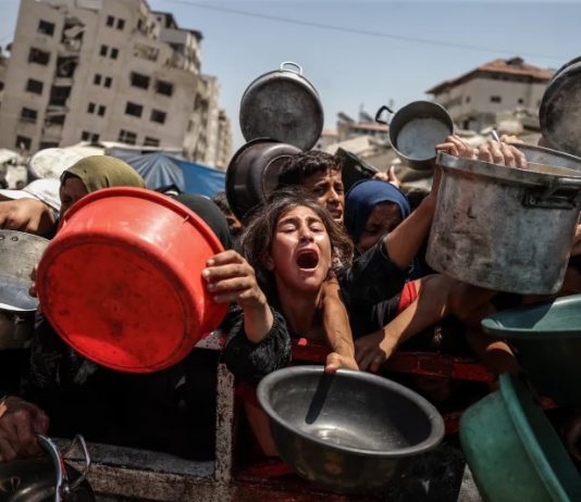 Los negocios y las nuevas tecnologías en el genocidio en Gaza Gaza negocio