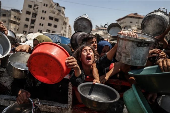 Hambruna en Gaza Gaza negocio