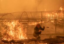 Calor extremo e incendios sin control azotan a España incendios España
